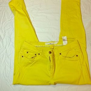 Bright Yellow Cotton Pants